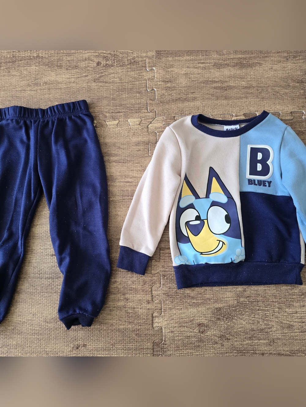 Toddlers Bluey Sweatshirt and Fleece Pants Set Size 4t Unisex
